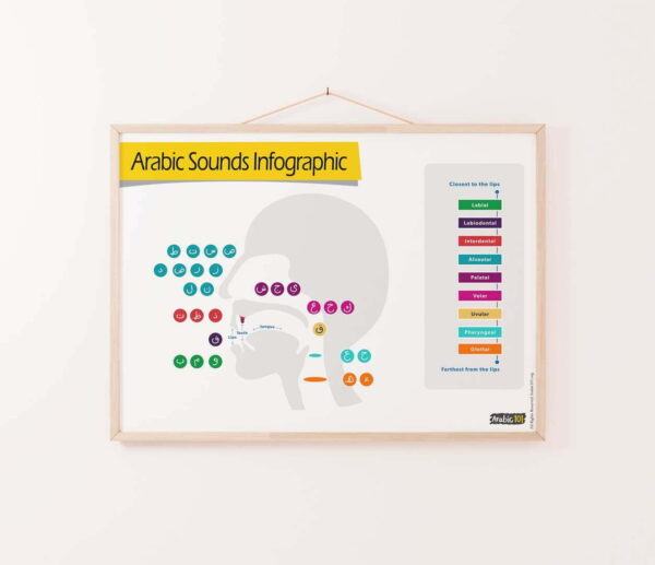 Arabic Letters Sound Articulation Poster