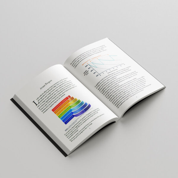 pic 2 (FRENCH) Comment Comprendre 65% Du Coran (E-book)